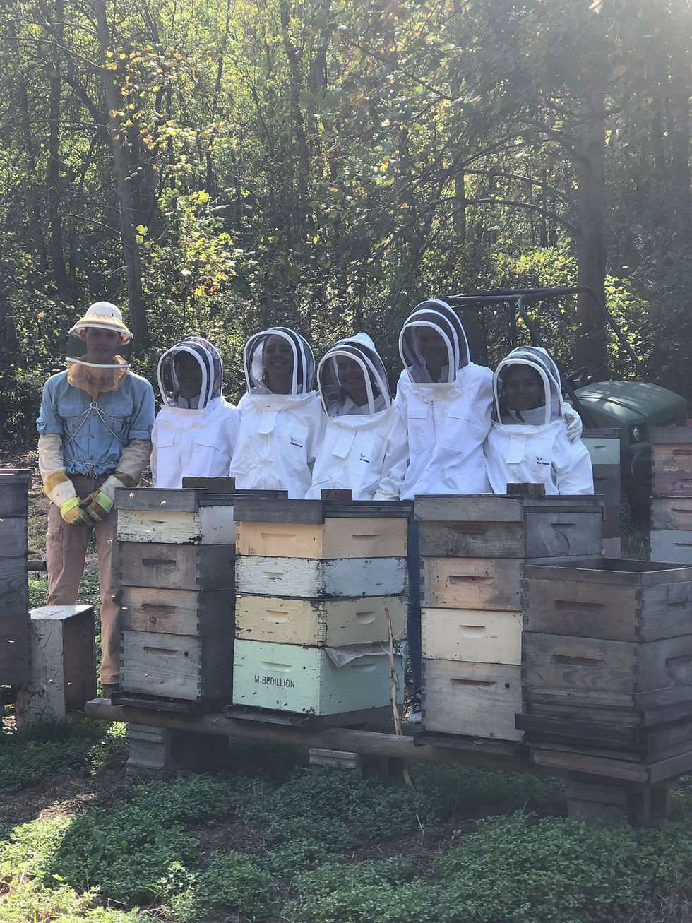 My team members and I alongside Sam Bedillion in his bee yard.