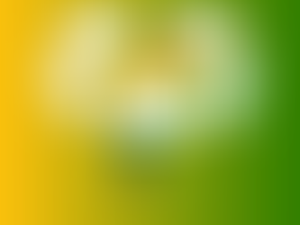 Adaptive vs. Responsive Design: Crafting the Ideal Mobile Experience