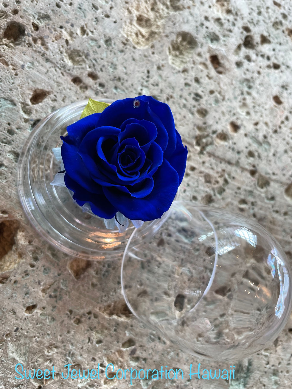 サムネイル： Royal Blue Dome Bloom