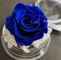 FLORISTJPロゴ.png