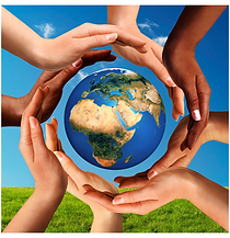 meditation members area