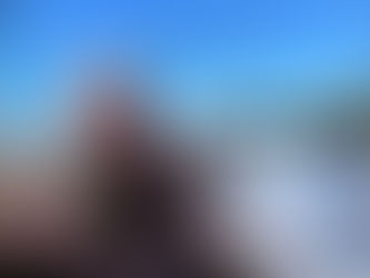 אל רועי ברגמן בא לביקור