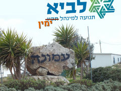תנועה למנהל ימין