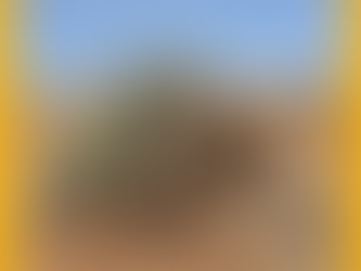 פעולה עיצובית