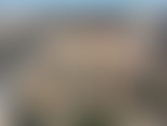 ירוק כחול לבן