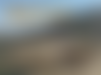 צורך בטחוני קונקרטי