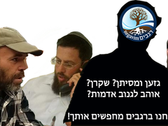 תנועת רגבים מחפשת מנכ״ל