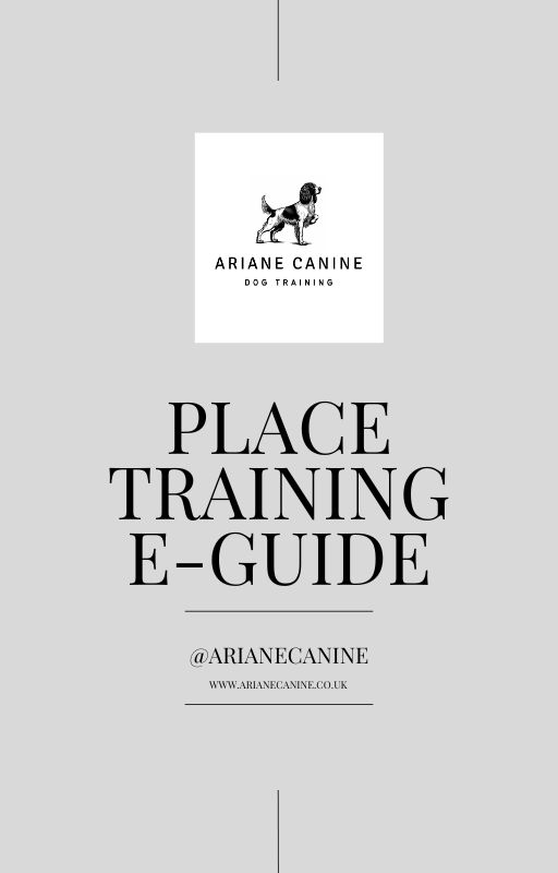 Place Training E-Guide