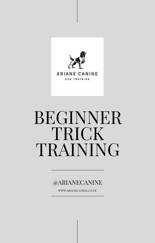 Beginner Trick Training E-Guide