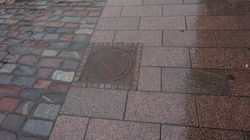DSC00424