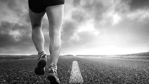 Getting Started and Preparing Your Body and Mind for Training