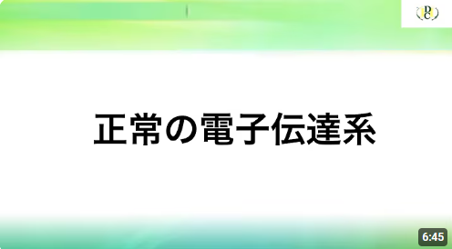 スクリーンショット 2025-01-06 115721.png