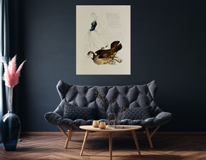 #Novidade | José Pedro Barata