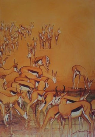 “ Sede matinal de Impalas”  Gorongosa – Moçambique