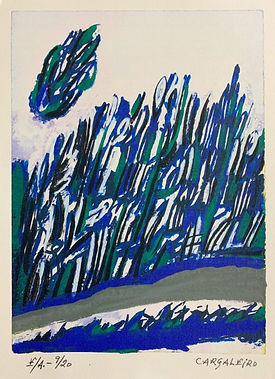 Serigrafia de Manuel Cargaleiro, flores