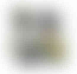 Artista Leonel Moura