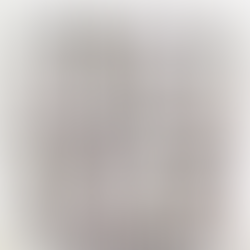 Artista Francisco Bartus