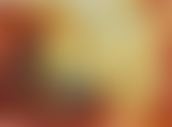 Serigrafia Emília Nadal