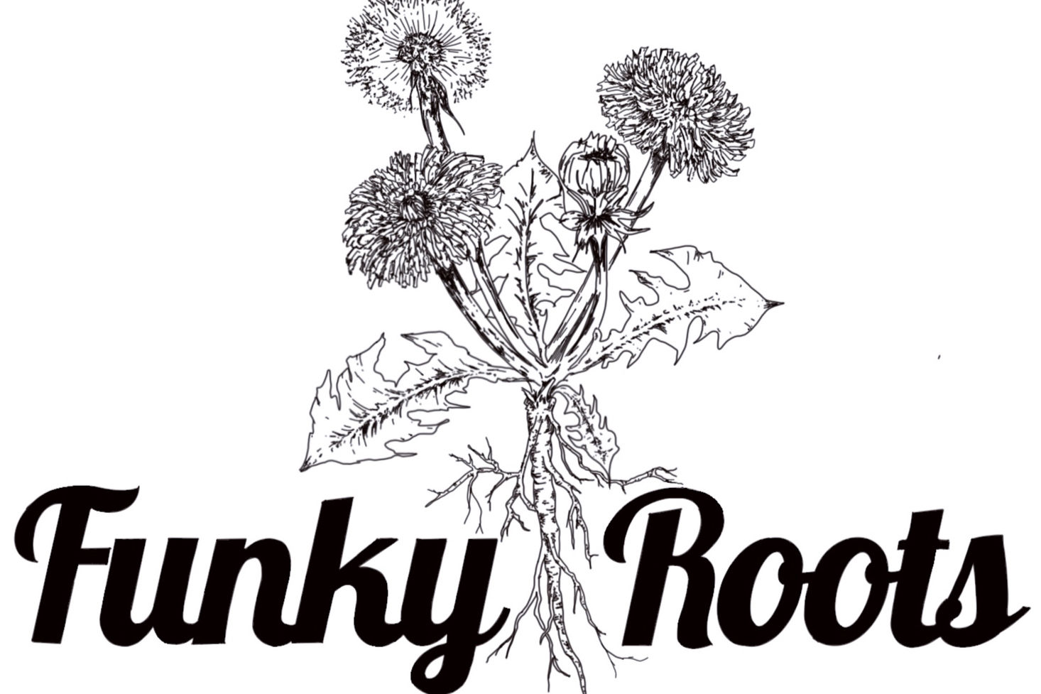 Off The Hook Health: General Wellness Blend (large)