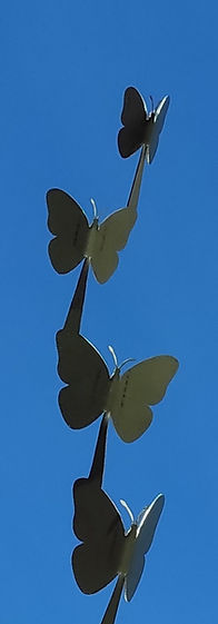 los laten-09.jpg