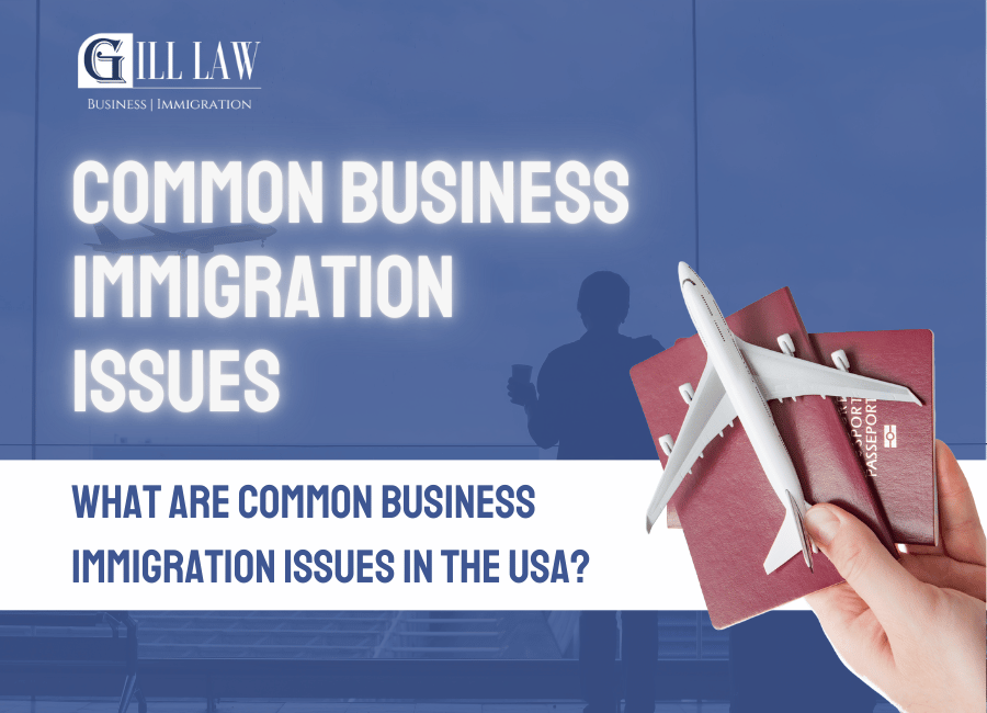 common Business Immigration Issues in the USA