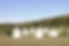 grundstueckBanner.jpg