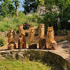 Motorsägen Schnitzkurs_edited.jpg