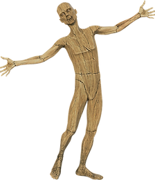 man-5487401_1920_li (2).png