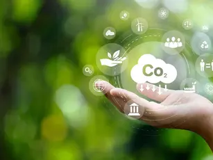 Mercado de carbono bate recorde de transações em 2021.