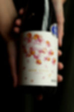 Sake Pairing