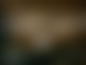 Private Dining in Mayfair: Best Japanese Rooms for Business Lunches & Celebrations