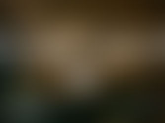 Where to Eat Before a West End Show: Japanese Fusion Dining Near London’s Theatre District