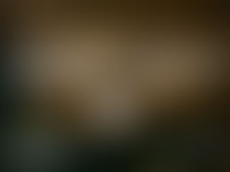 Looking for a Christmas Eve Dinner in Mayfair? Discover Japanese Fusion with a Twist at Titu