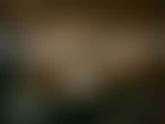 Where to Eat in Mayfair After Christmas Shopping on Bond Street or Oxford Street