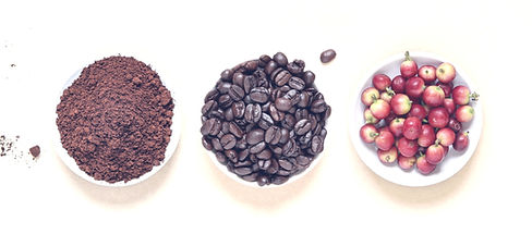 chicago coffee distributor, chicago office coffee service, chicago coffee subscription, office water delivery chicago, coffee service in chicago, free coffee equipment chicago, office coffee delivery service chicago, third wave distributors, chicago hotel coffee and tea, chicago restaurant coffee equipment, chicago water delivery service, professional coffee equipment chicago