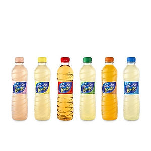 Agua Saborizada Levite 500ml
