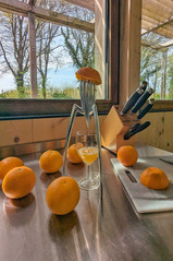 Alessi Juicy Salif citruspers van Philippe Starck 