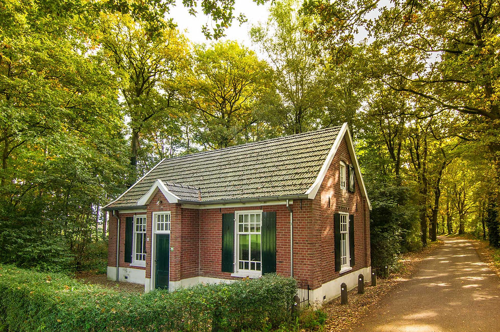 De Oude Zondagschool- galerij update 2025-01.jpg