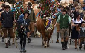 Almabtrieb am Hochegg