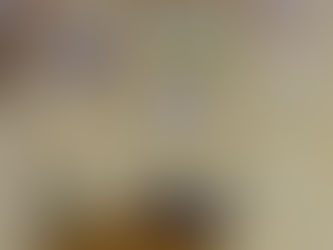 “To respect a cat is the beginning of the aesthetic sense.”