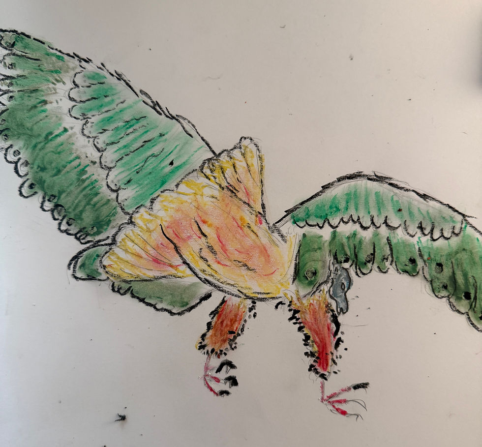 Sudan Green, Falcon