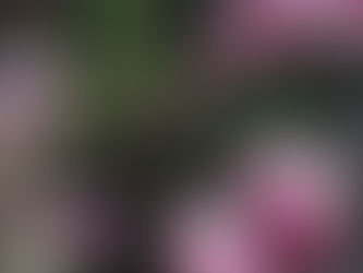 Spring and Artmaking are in the Air!