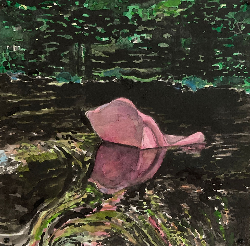 Meridith McNeal, Recognizing Hurricane Katrina (20 years)