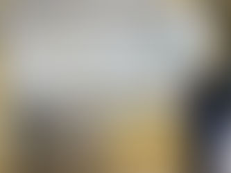 A Kaleidoscope of Butterflies