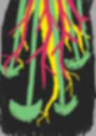 Richard Lee Chong, Caribbean Culture