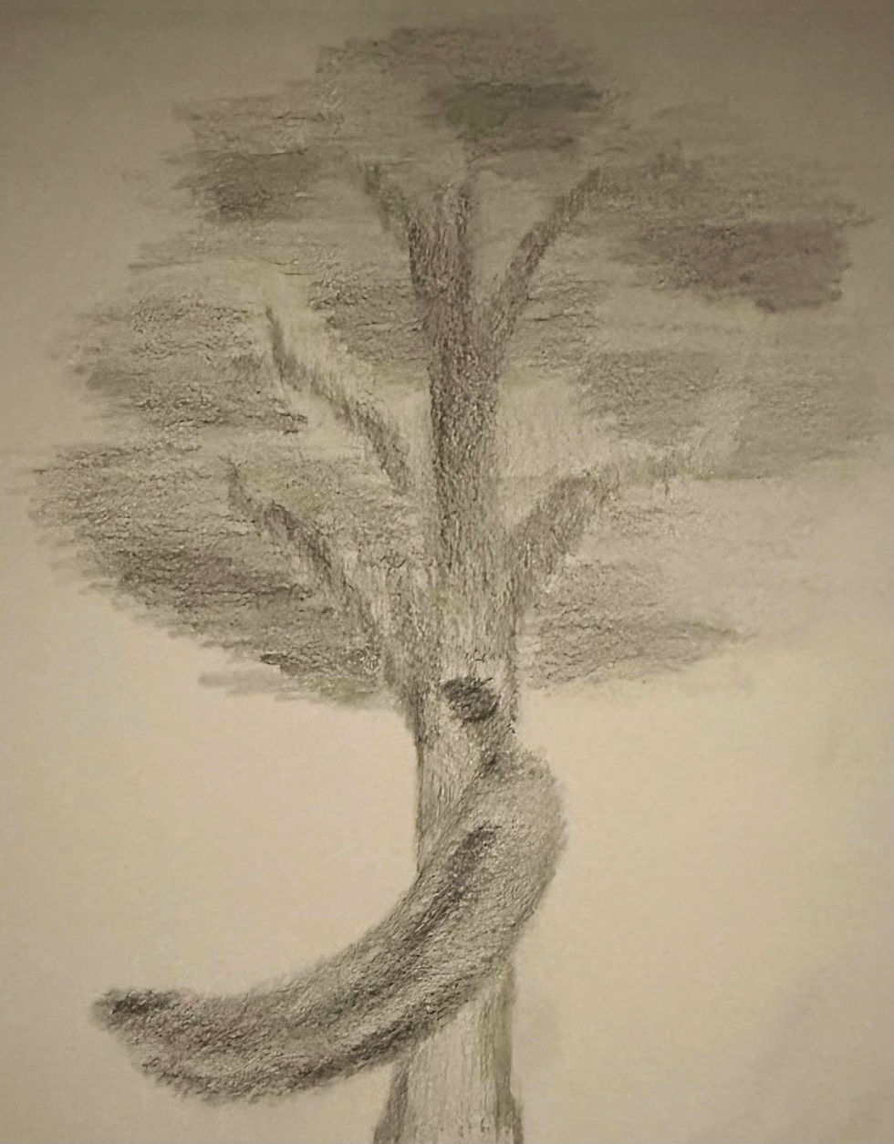 Aaron W., Line In Motion