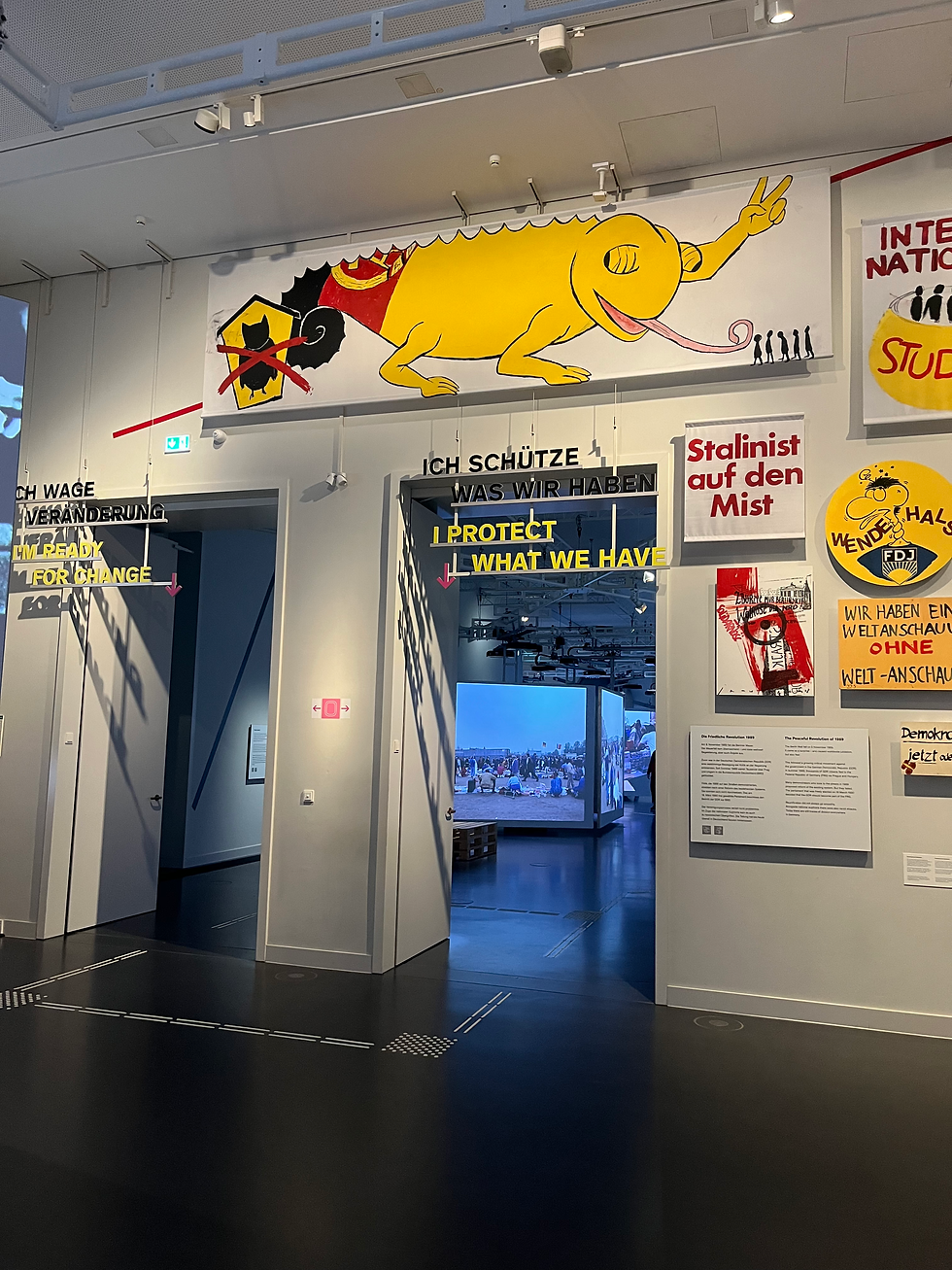 Installation photo by Lilo Lewis