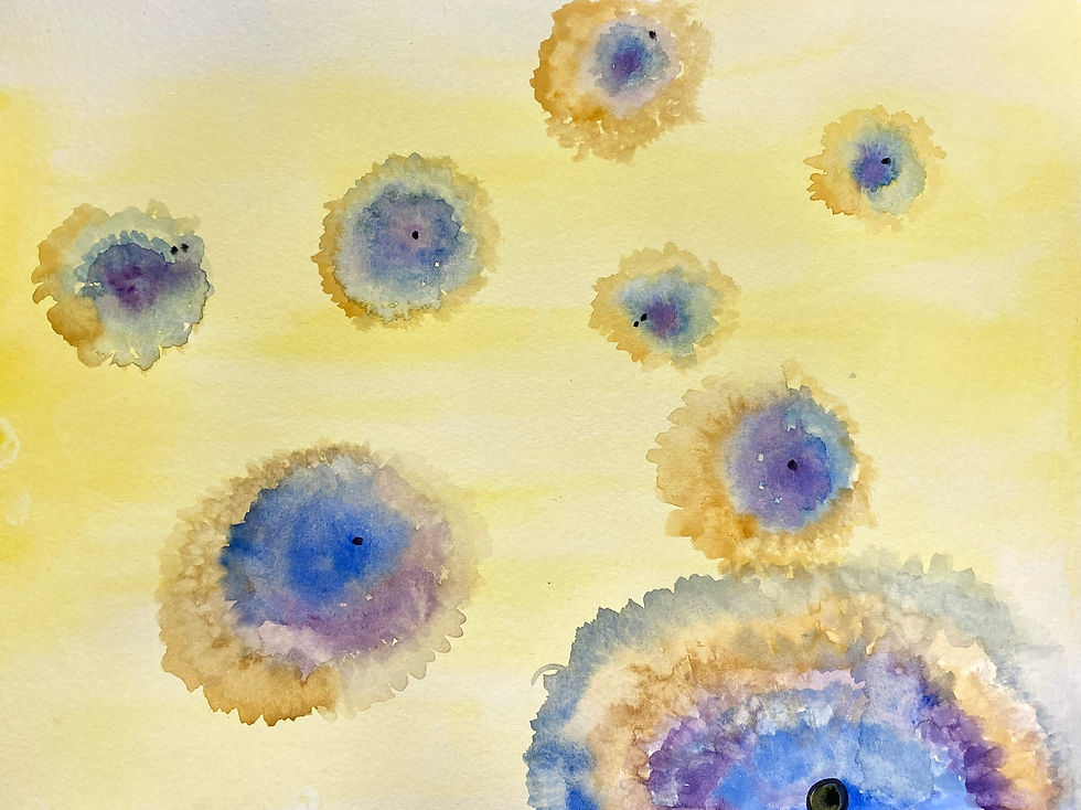 Lenila Silva, The Story of Life