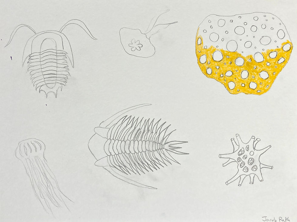 Jacob Rath, The Story of Life (in progress)