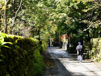 紅葉の　軽井沢　雲場池　